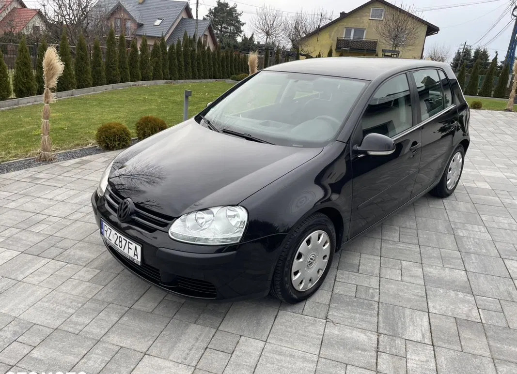 Volkswagen Golf cena 14000 przebieg: 175000, rok produkcji 2006 z Rzeszów małe 191